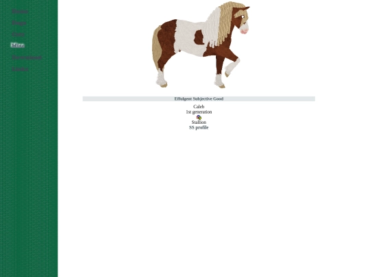 misc/shetland screenshot