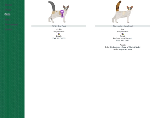 oriental/seychellois screenshot