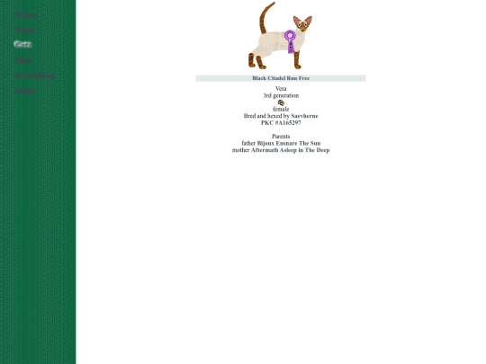 oriental/siamese screenshot