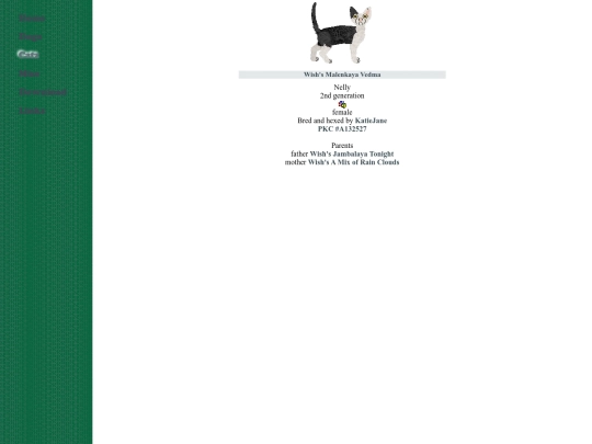 semi_foreign/devonrex screenshot