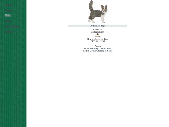 semi_foreign/laperm screenshot