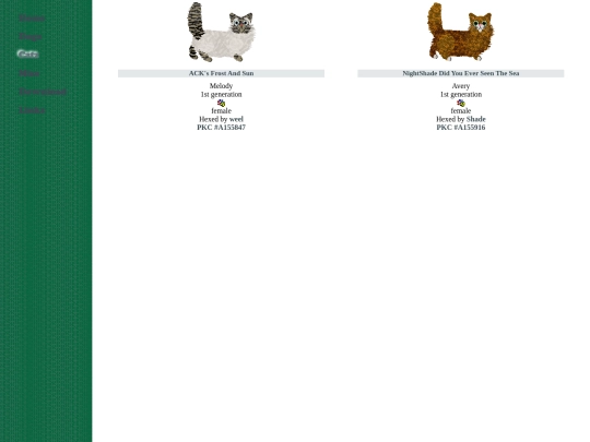 semi_foreign/munchkin screenshot