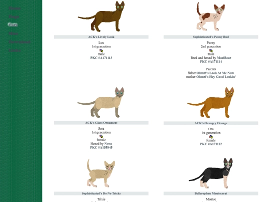 semi_foreign/sphynx screenshot