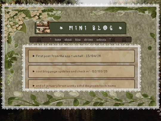 BlogaWoga screenshot