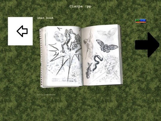 portfolio screenshot