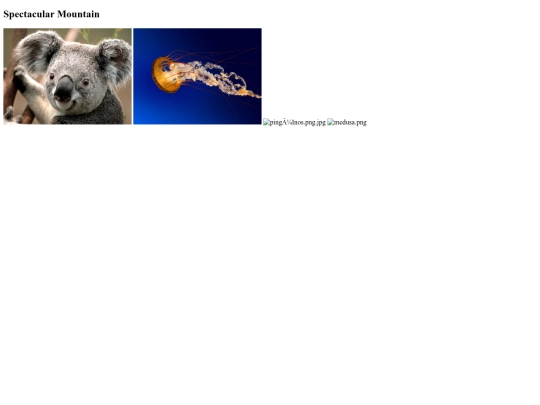 bloque+1/imagenes<3/imagenes screenshot