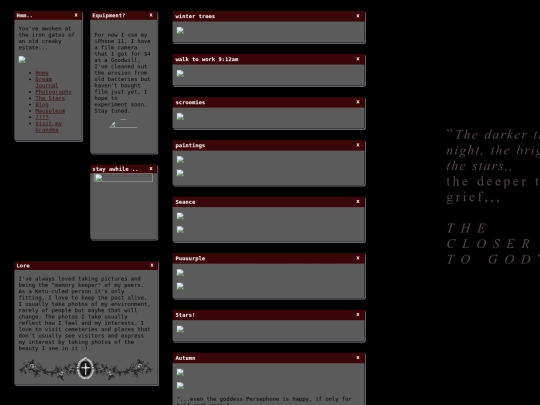 PHOTOGRAPHY screenshot