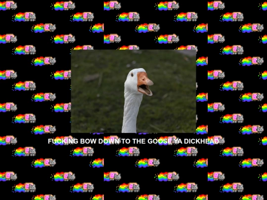 goose screenshot