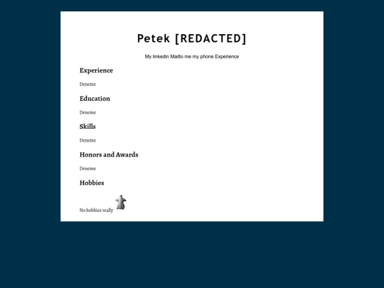 job/resume screenshot