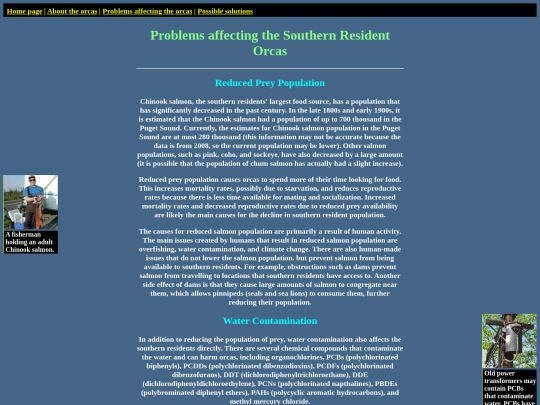 html/problems screenshot