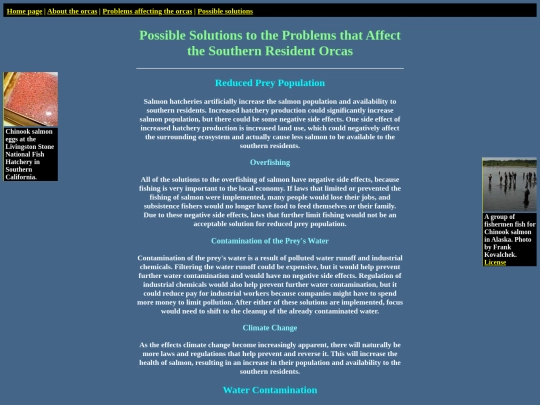html/solution screenshot