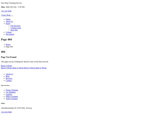 page-404 screenshot