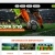 Inicio | Copa 5:10 avatar