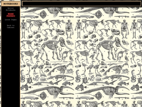 cabinet/notebooks/journals screenshot