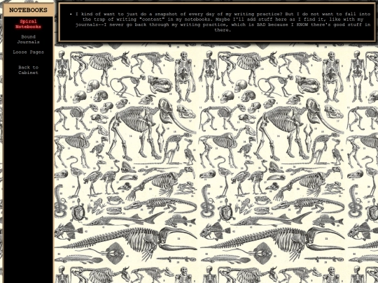 cabinet/notebooks/spirals screenshot