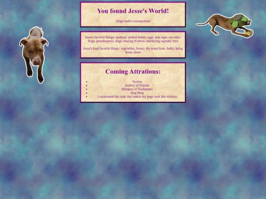jesse screenshot