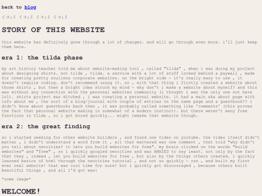 blog/websitestory screenshot