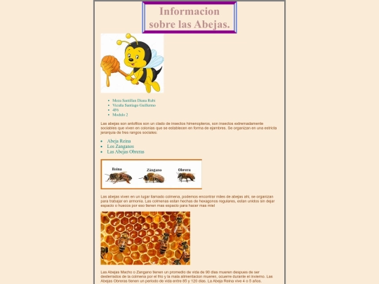 proyecto screenshot