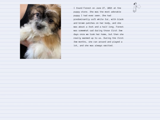 album/ph1 screenshot