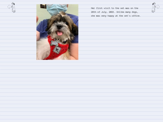 album/ph2 screenshot