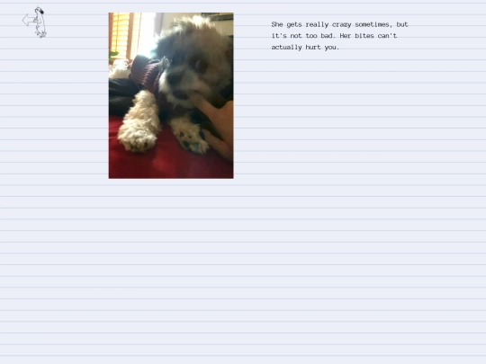 album/ph4 screenshot