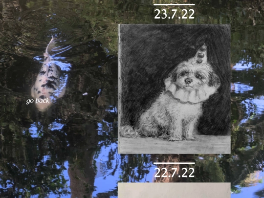 art screenshot