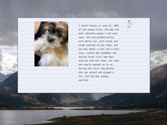 photos screenshot