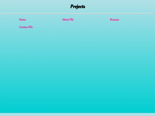 projects screenshot