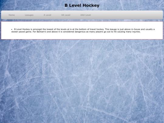 BLevelHockey screenshot