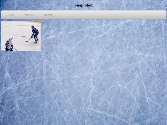 SnapShot screenshot