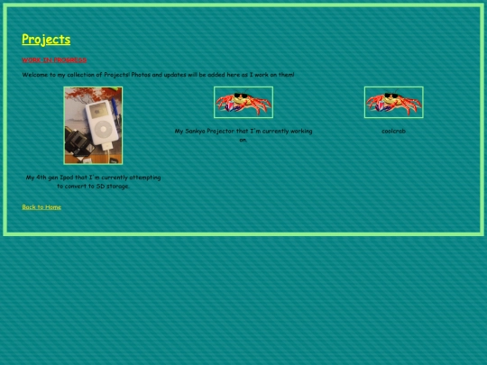 project screenshot