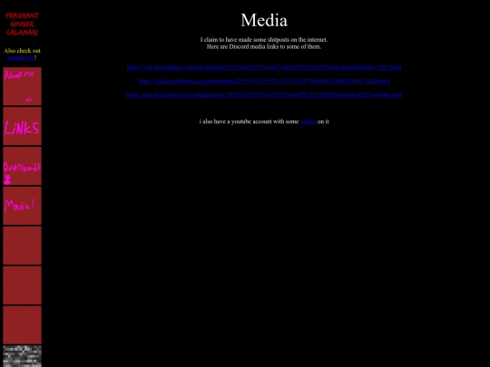 media screenshot