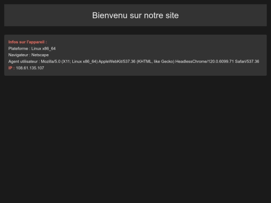 IP screenshot