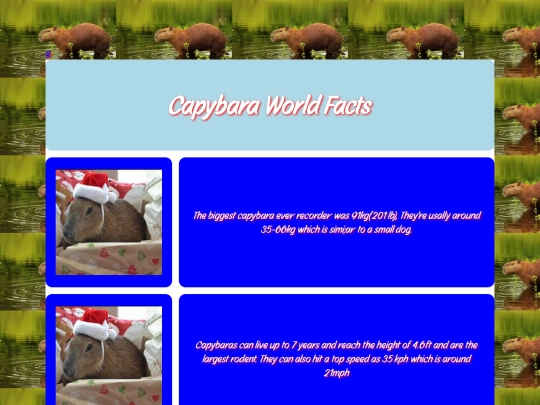 page2 screenshot
