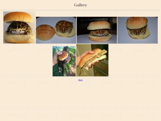 gallery screenshot