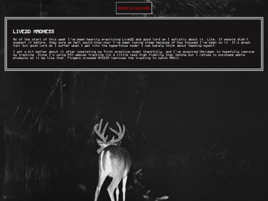 blog/entries/entry7 screenshot