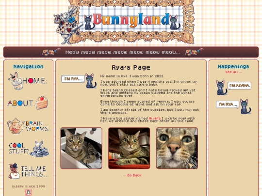 rya screenshot