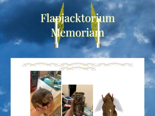 flapjack screenshot