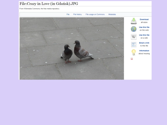 love/gdansk screenshot