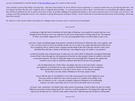 ruminations/2023/binary screenshot