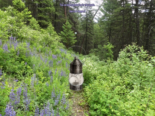 test screenshot
