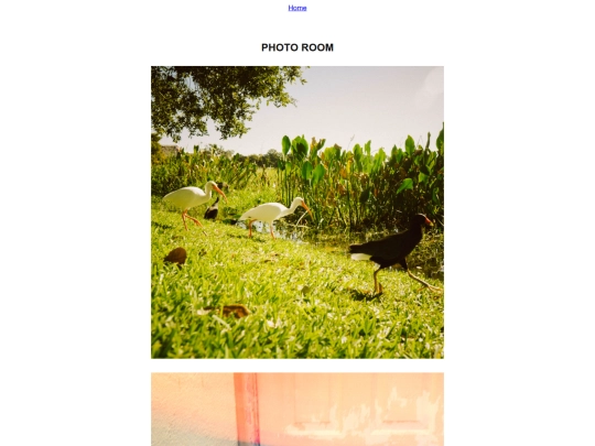 photoroom new page screenshot