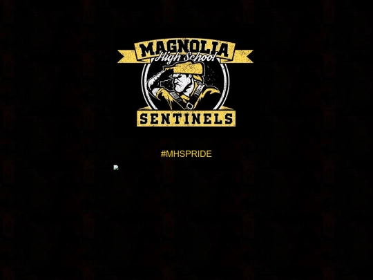 MHS screenshot