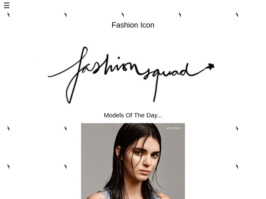 Styleicon screenshot