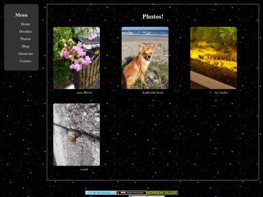 photogallery screenshot