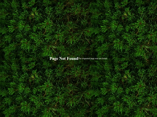 blog/entries/2025-08-20 screenshot