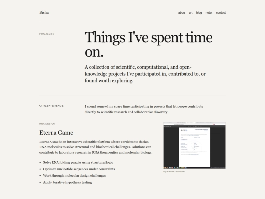 projects screenshot