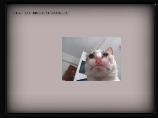 CodingTests/terminal screenshot