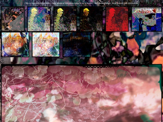 collage screenshot