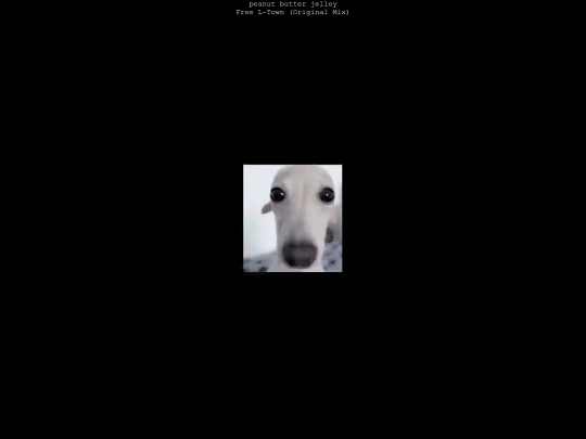 404/pbj screenshot